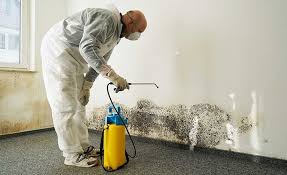 Best Residential Mold Inspection & Testing  in Mattoon, IL