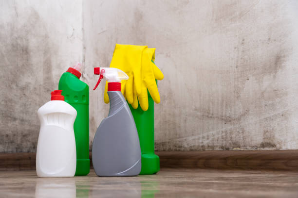 Reliable Mattoon, IL Mold Prevention & Removal  Solutions