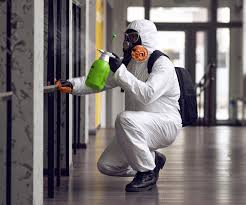 Best Mold Prevention Services  in Mattoon, IL